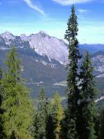 Seefeld 9